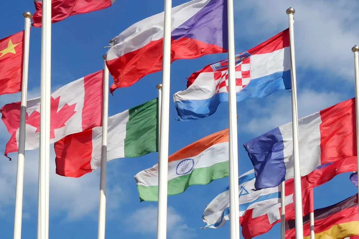 Banner tabara de vara Relatii internationale_Your Education Shape_Your Educational consultant