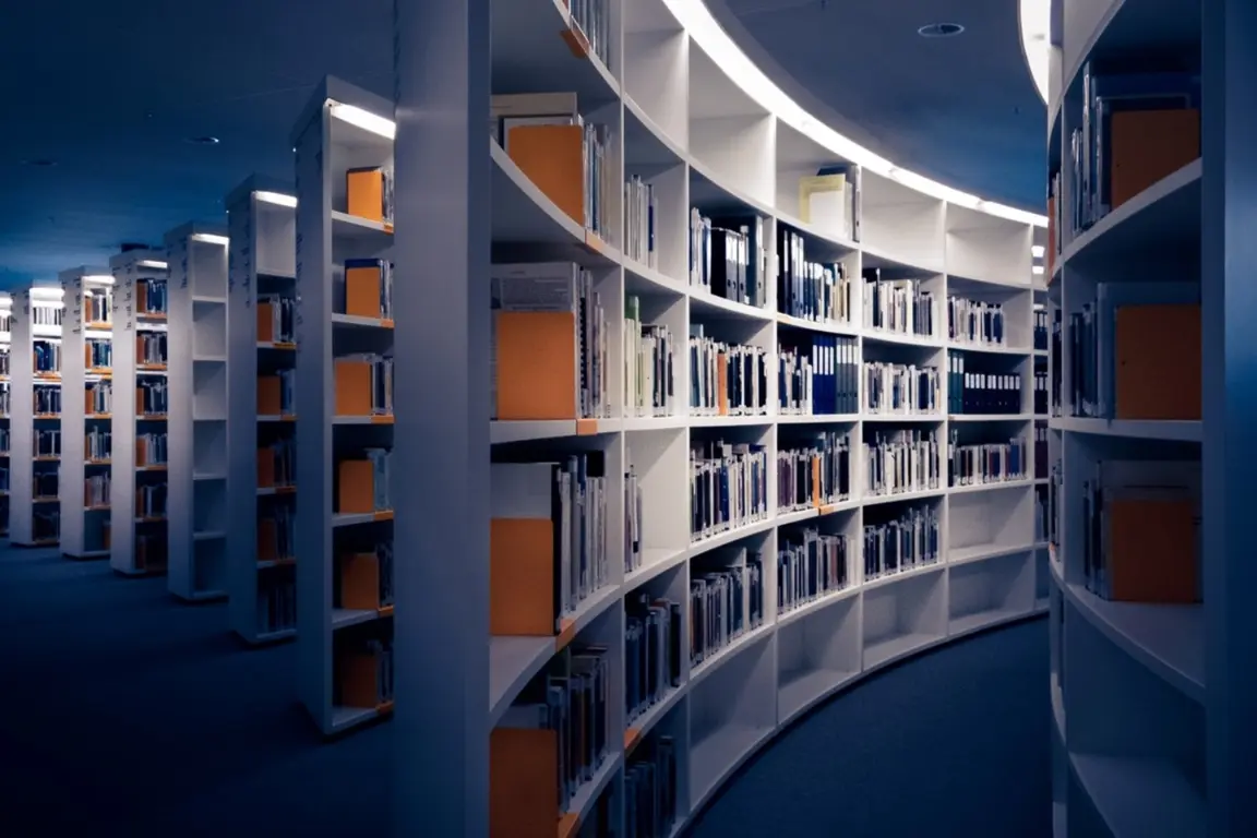 Banner_Informatii utile YES_Your Education Shape_Your Educational Consultant